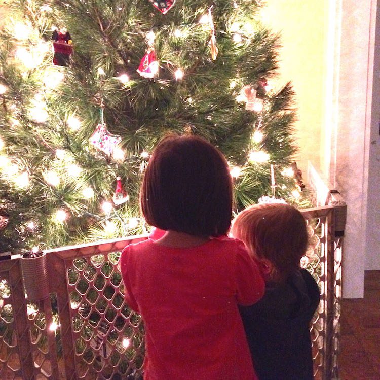 baby health & safety registry essentials