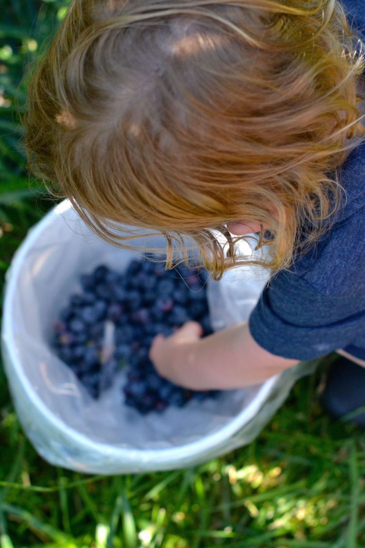 what to do on a family vacation in south haven, michigan // lovelyluckylife.com