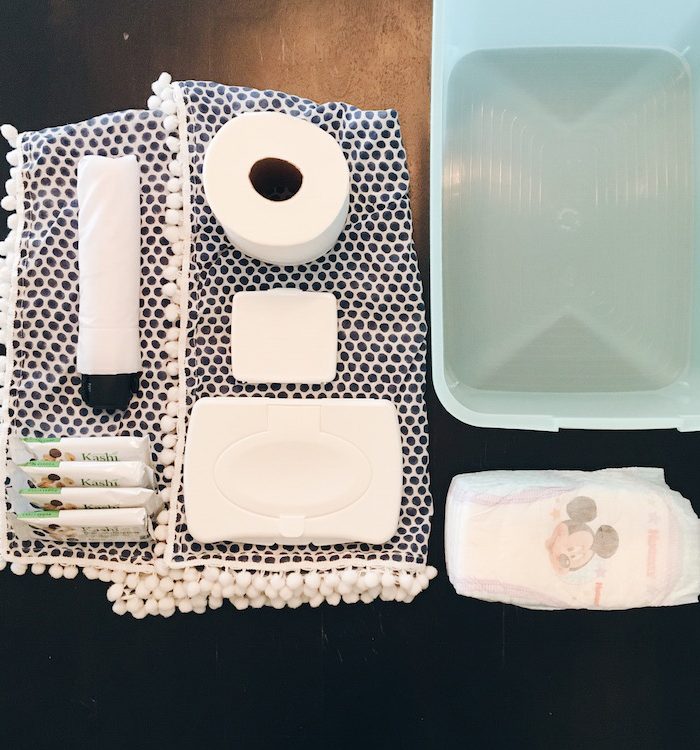 The 7 Essentials Every Mom of Toddlers NEEDS in Her Car