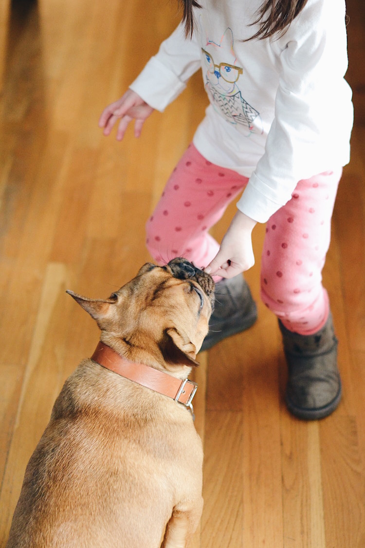 How to Welcome a Puppy with Little Kids at Home - need to read if you're considering getting a puppy and you have kids