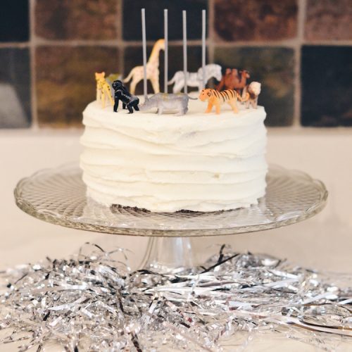 party animal theme