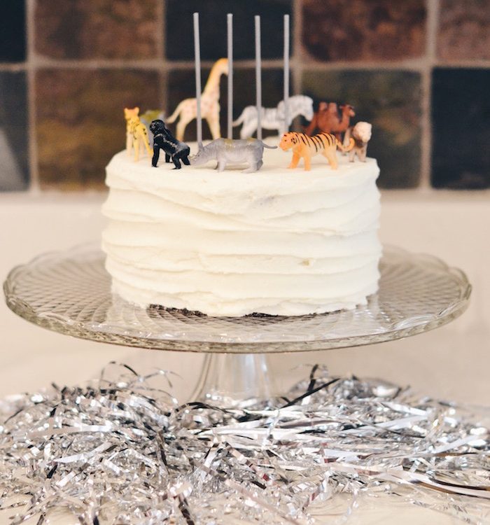 Party Animal Birthday Theme for Kids – Easy and Adorable