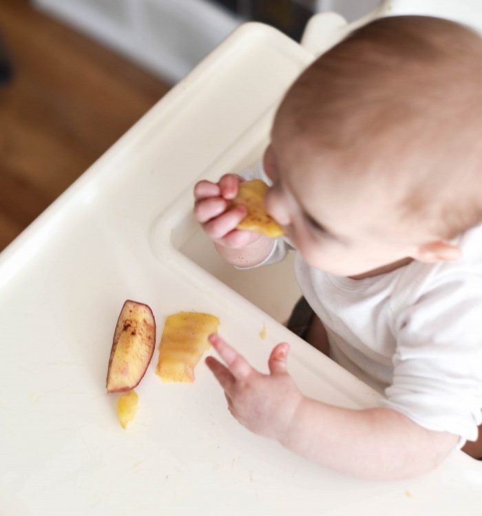 Easy Steamed Apples Recipe for Baby Led Weaning