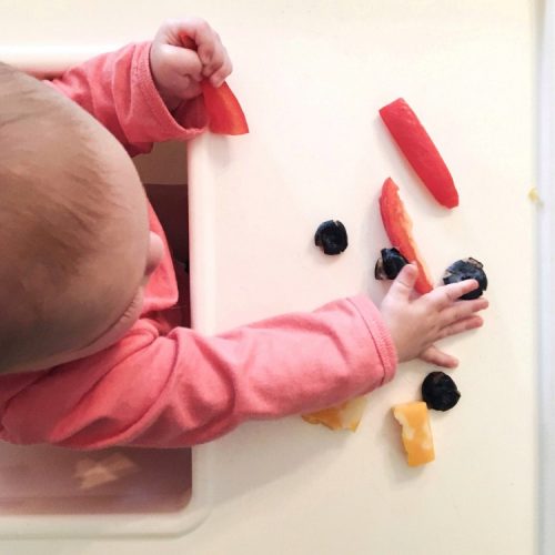 baby led weaning foods for a 6 month old