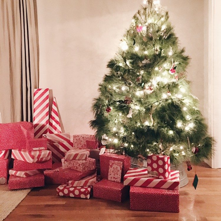 rustic christmas decor under $50