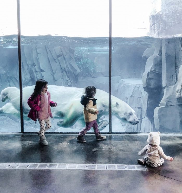 The Top 5 St. Louis Family Attractions