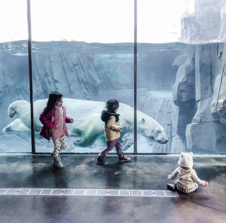 the best things to do in St. Louis with kids