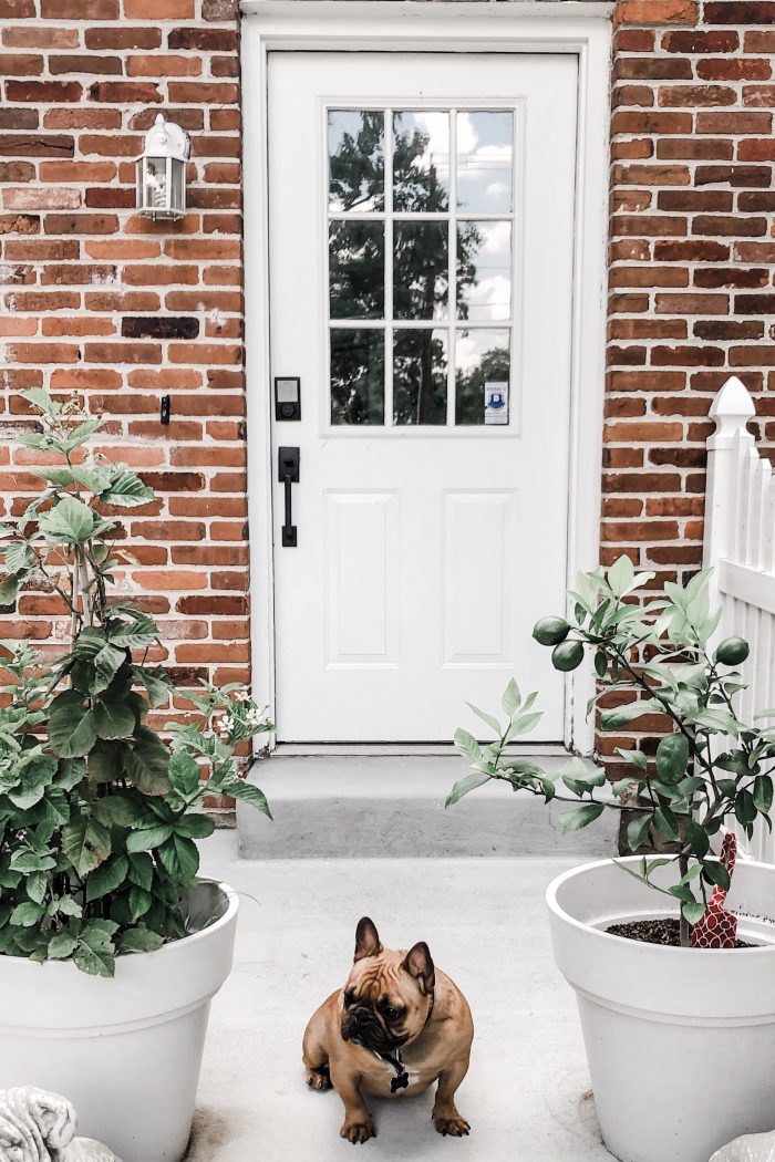 Outdoor Sconces + Lanterns for Porch Lighting