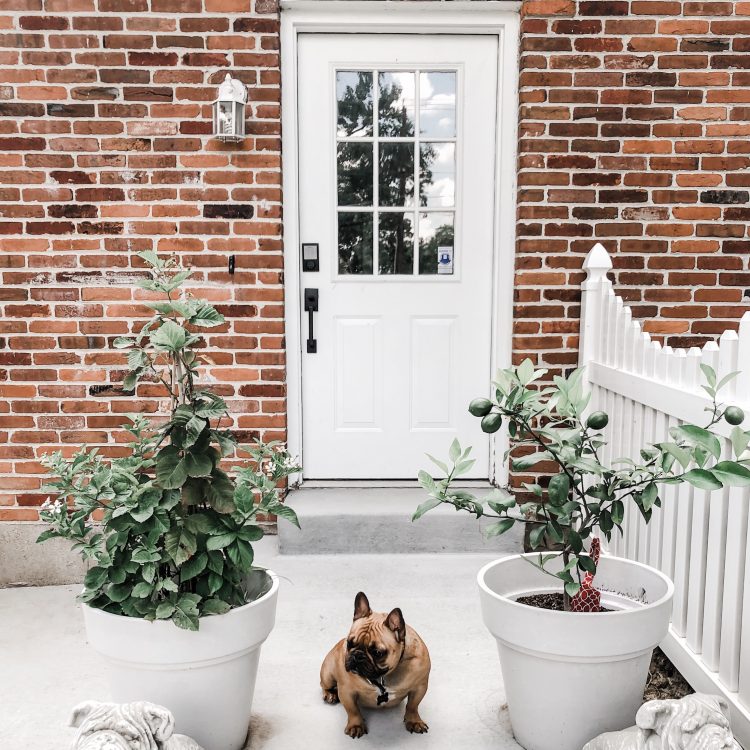 outdoor sconces on a brick house