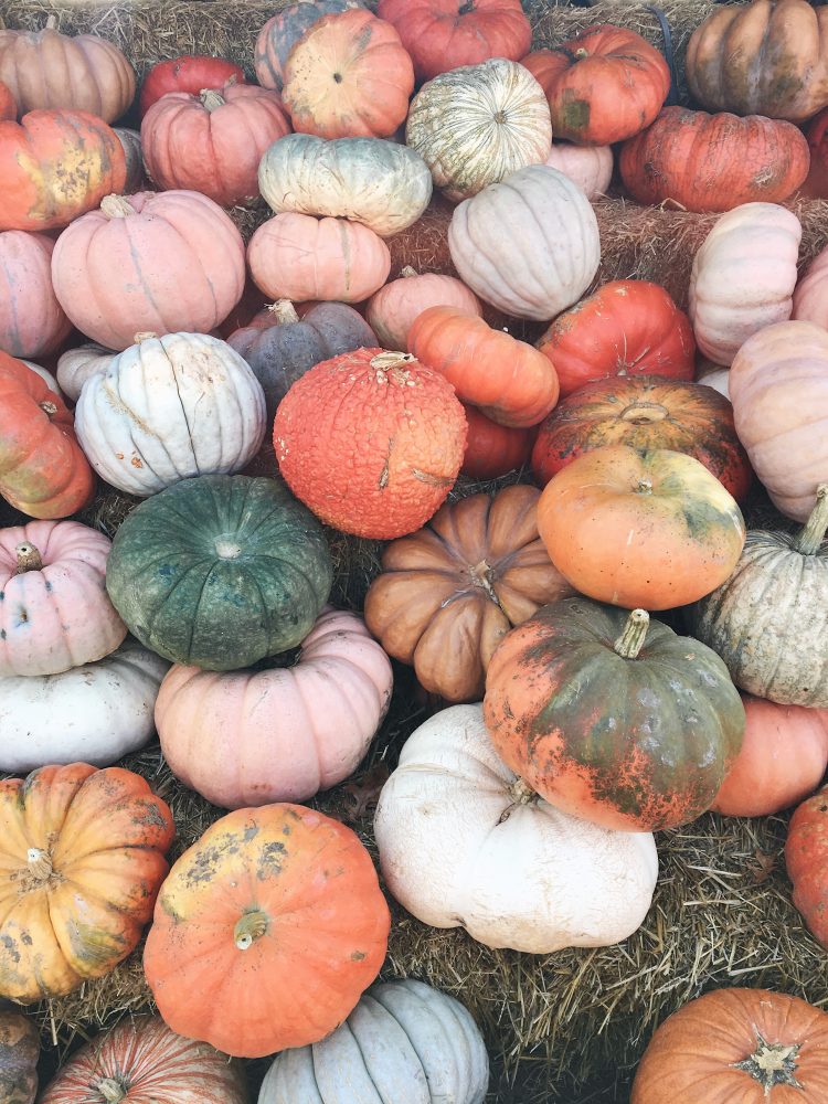 fall bucket list ideas for families