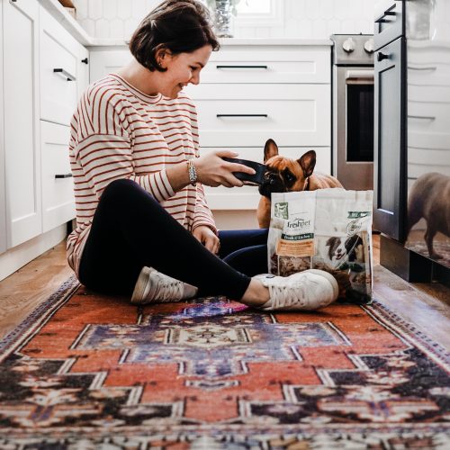 french bulldog named Porkchop