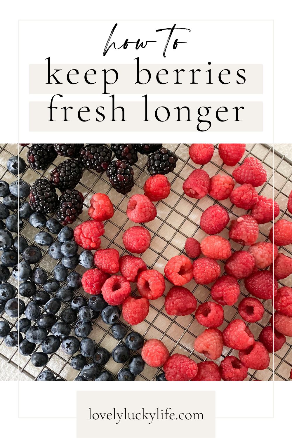 How to Store Fruit in Mason Jars for Extended Freshness