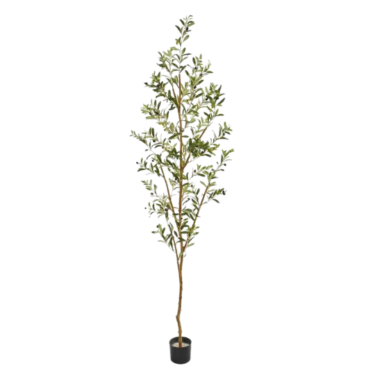 Artificial Olive Tree in Planter | top picks for the home this week on lovelyluckylife.com