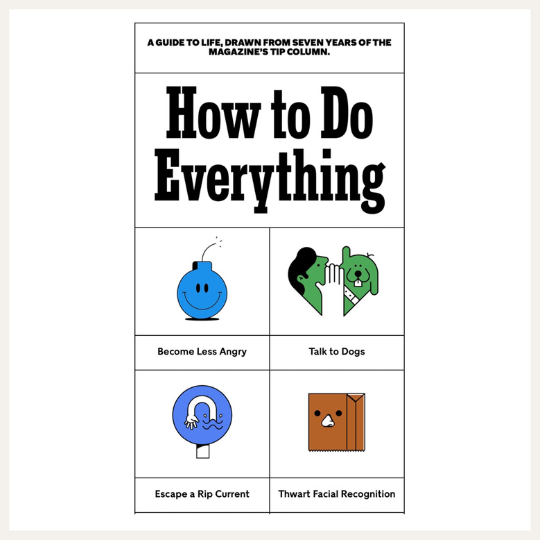 How to Do Everything - The New York Times | Currently Reading on LovelyLuckyLife.com