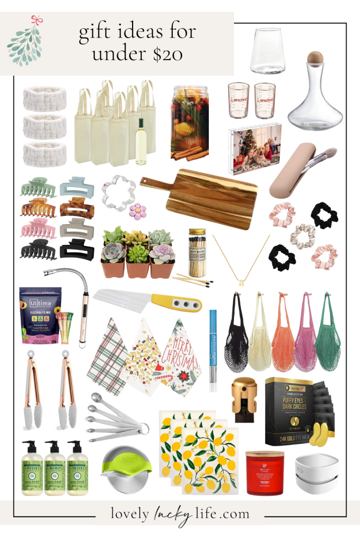 Gift Ideas for Under $20 in 2022